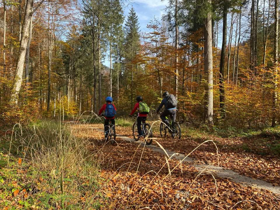 WhatsApp Image 2025-12-07 at 13.53.18